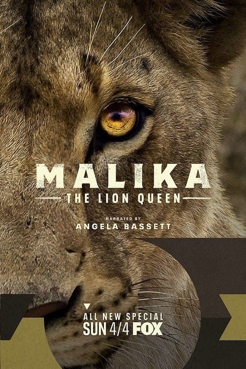 دانلود مستند Malika the Lion Queen 2021 دانلود مستند Malika the Lion Queen 2021