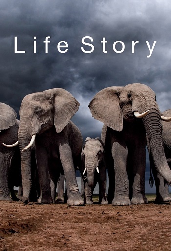 دانلود سریال Life Story دانلود سریال Life Story