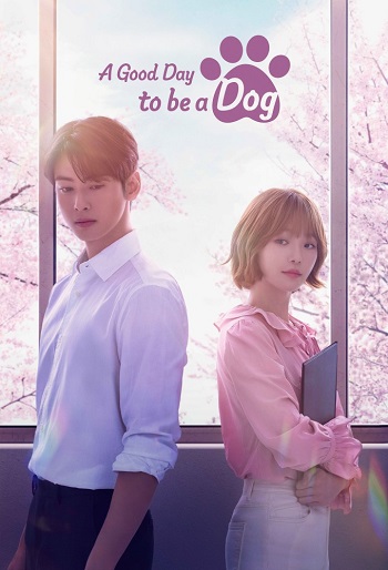 دانلود سریال A Good Day to be a Dog دانلود سریال A Good Day to be a Dog